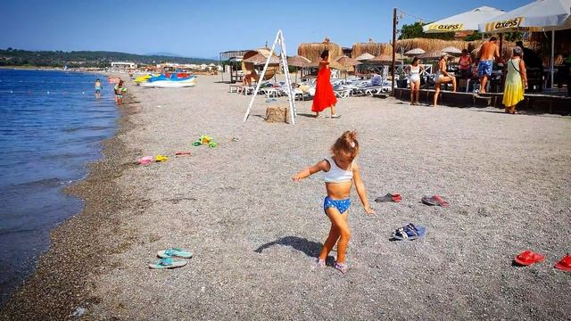 разговаривают с ПТИЦАМИ ✅ поставили ЗУБ✅ впервые БЕЗ МАСКИ ?✅ в БИЧ КЛАБЕ принц на БЕЛОМ КОНЕ✅ смотреть онлайн