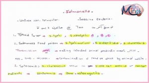 6  Bacteriology E coli & salmonella