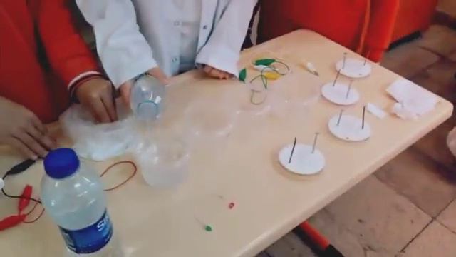 Berk's team and their experiment смотреть онлайн