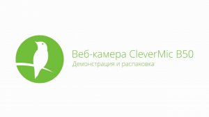 Тест и обзор комплекта веб-камеры Clevermic B50