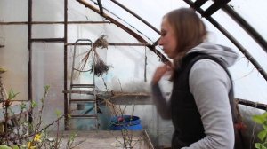 Выгонка веток деревьев и кустарников. Урок 12