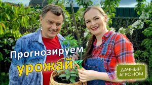 Этого никто не заметил! Что НЕ ТАК с ЭТОЙ весной