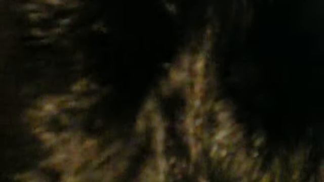 27 шуба норка смотреть онлайн