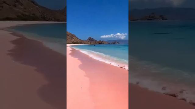 Pink Beach , Komodo National Park , Flores Island, Indonesia !😍😍