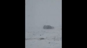 Мой стоковый Монтерик.mp4