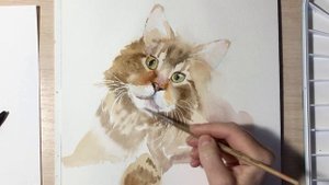 Рисуем кота акварелью
