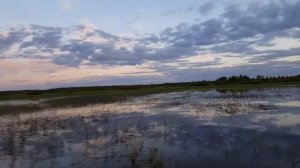 Мотор Болотоход MAX Motor