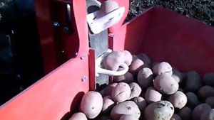 Сажалка картофеля на мотоблок агро