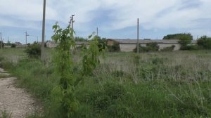 Коровник в Богословке.