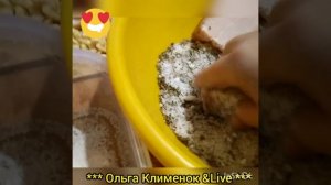 Сегодня мы с вами солим сало,просто супер какое вкусное!