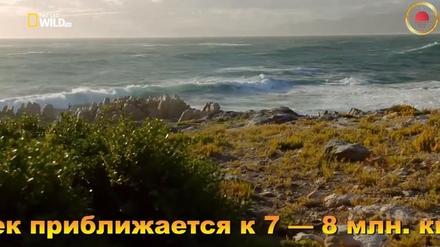 УРОК 1 для школьников: " БОГ ЕСТЬ ЛЮБОВЬ" смотреть онлайн