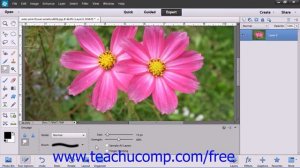 Photoshop Elements 12 Tutorial The Smudge Tool Adobe Training Lesson 13.5