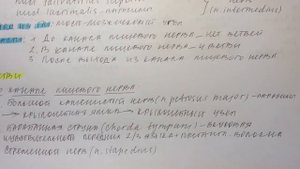 Билет 040. VII ПАРА ЧЕРЕПНЫХ НЕРВОВ: ЯДРА, ХОД, ОБЛАСТИ ИННЕРВАЦИИ. ВЕГЕТАТИВНЫЙ КОМПОНЕНТ.