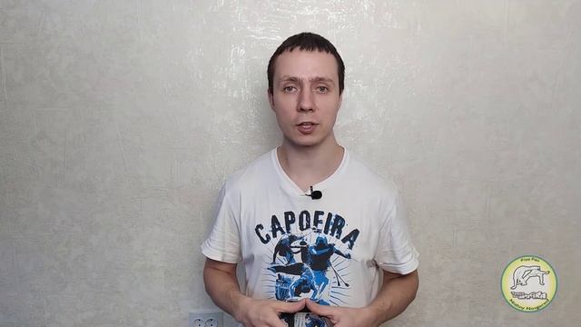Капоэйра для начинающих #6. Удары ногами - armada / армада.