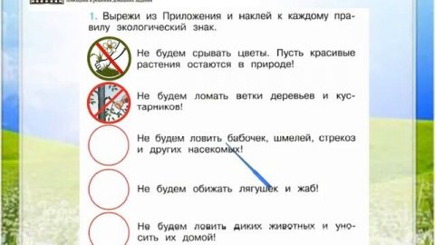 Задание 1 Будь природе другом! - Окружающий мир 2 класс (Плешаков А.А.) 1 часть