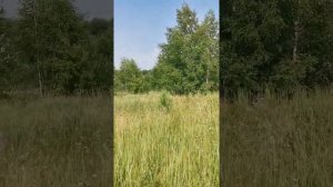 участки в деревне Азаровка