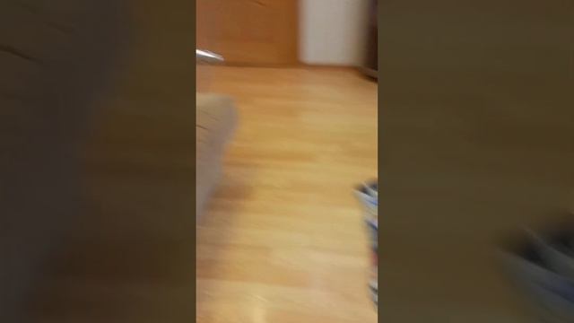 новенький пришёл на свою 1 тренировку. (если залетит будем делать 2 часть) смотреть онлайн