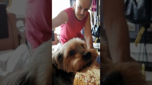 Не хочу гулять с "папой"!! смотреть онлайн