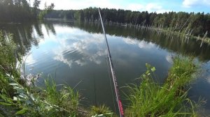 Бюджетная прикормка и наживка на Карпа и Сазана | Рыбалка на Карпа | Ловля Сазана на Боковой кивок