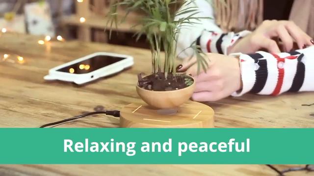 Wooden Levitating Planter смотреть онлайн