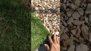 Устройство ягодника. Как правильно положить геотекстиль. Монтаж искусственной травы.