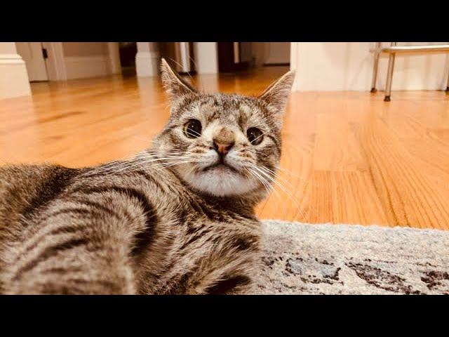 Борьба за жизнь