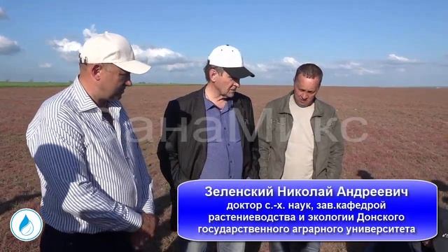 Особенности выращивания подсолнечника по технологии NO-TILL в условиях Крыма