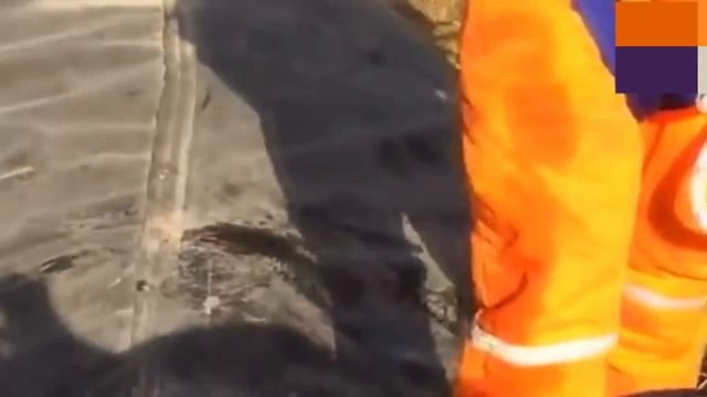 Спасение попавших в беду диких животных #7 смотреть онлайн