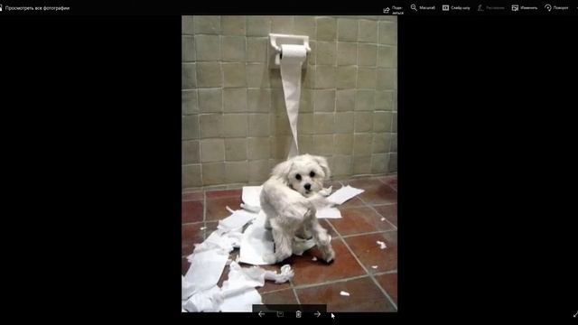 анекдоты12. про кефирчика. смотреть онлайн