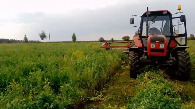 Застраховались с кормами - 2