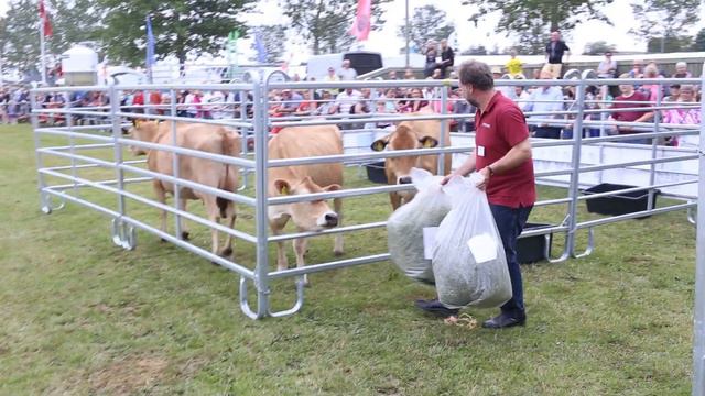 DM i hø 2014 - Afgørelsen смотреть онлайн