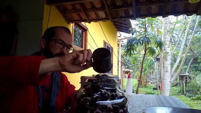 VINHO DE JABUTICABA... смотреть онлайн