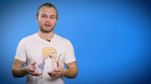 Польза бега Чем полезен бег Тренировки по бегу