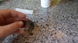 Как скрутить блант