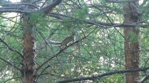 Рыбалка карася зимой и летом в Коми #6