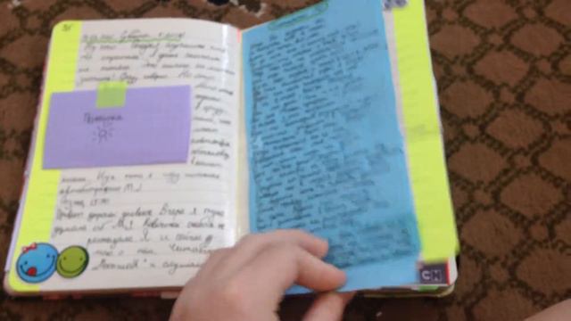 Личный дневник Вики Саркисян [номер 9] и почему бросила смотреть онлайн