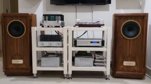 McIntosh MA252 and Turn GR - good match