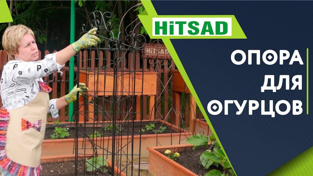 Всё о Шпалерах и Ширмах для подвязки огурцов ✔️ Опора для вьющихся растений