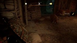 Assassins Creed Valhalla / Ассасинс Крид Вальгала / Серия #80