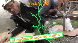 # 38. В подвале дома можно жить, обрезка и побелка плодовых деревьев/