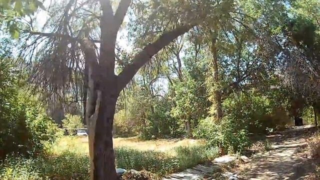 Заброшенный дом во дворе пр. Металлургов г. Волгоград