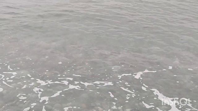 ПЛЯЖИ АДЛЕРА В НОЯБРЕ 2021! ЭТО НАДО ВИДЕТЬ!!!Цены на фрукты, цены в кафе VLOG #сочи2021 #адлер2021 смотреть онлайн