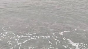 ПЛЯЖИ АДЛЕРА В НОЯБРЕ 2021! ЭТО НАДО ВИДЕТЬ!!!Цены на фрукты, цены в кафе VLOG #сочи2021 #адлер2021