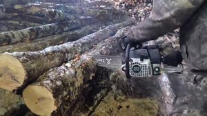 Работа бензопилой ZimAni MS361 PRO, наработка 200 кубов.