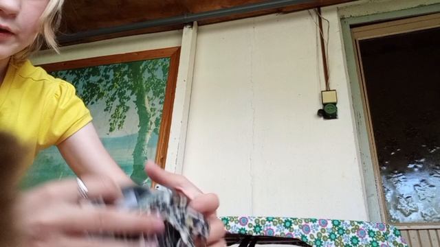 Кактусик уезжает