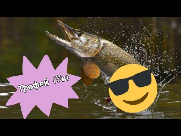 Трофей 13кг! Не забыть! #рыбалканадонки ##relaxfishing #щукалетом #трофейнаярыба #трофейнаярыбалка2