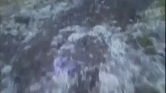 Барик не надо бобра трахать))) На Приколах!!! смотреть онлайн