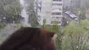 Апрель Орехово-Зуево