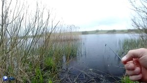 ОГРОМНЫ КАРАСИ-ЛАПТИ! РЫБАЛКА КАК ВО СНЕ! )) ЖОР КРУПНОГО КАРАСЯ! ПОКЛЕВКИ КРУПНЫМ ПЛАНОМ!