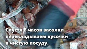 Хе из толстолоба